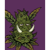 420StonedTrolls