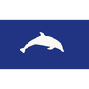 Blue Dolphin Energy Company