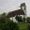 Maschwanden