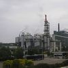 Pulp mill