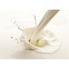 Joy Dairy 
