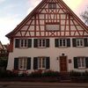 Allensbach Institute