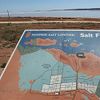 Dampier Salt