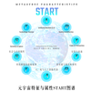 Metacosmic Project
