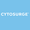 Cytosurge