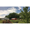 Bluewinkle Berry Farm