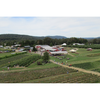 Barton Orchards