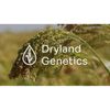 Dryland Genetics