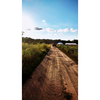 Freedom Food Farm