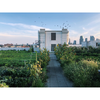 Brooklyn Grange