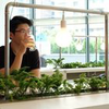 Timothy Ng