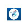 VLS Consulting