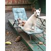 Perfect Pet Sitting