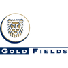 Gold Fields