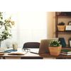 Remote Notary Jobs