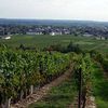 Bourgueil