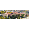 Caucasus University