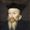 Jacques Cujas