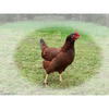 Green Pastures Enterprises