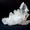 SaltNow