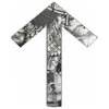 Tiwaz rune