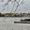 Scugog