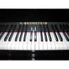 C. Bechstein