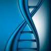 Phenosystems