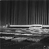 Cathedral of light