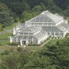 Kew Gardens