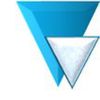 Vividhta