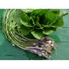 Bluestone River Farm