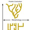 Punctuated equilibrium