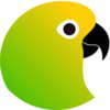Conure Music
