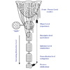 Structural differential
