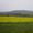 Longview, Alberta