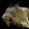 Actinolite