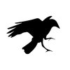 Crow New Media