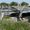 Spalding, Nebraska