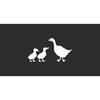 Duck Duck Goose