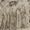 Guillaume de Machaut
