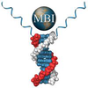 Maxim Biomedical