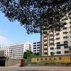 Tungnan University