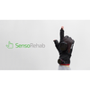 SensoRehab