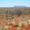 Outback