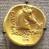 Bucephalus