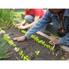 Common Good City Farm