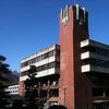 Tsuru University
