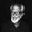Salim Ali