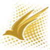 Regent Airways